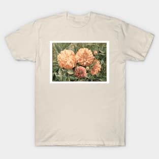 Sunlit Dahlias T-Shirt